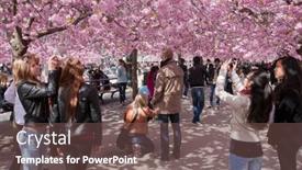  Presentation with flowery - 