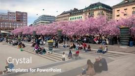  Presentation with flowery - 