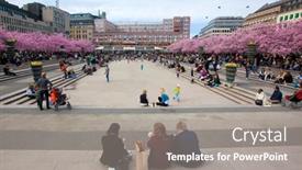  Presentation with flowery - 