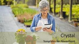  Presentation with forget me nots flowers - PPT theme having stocktaking - beautiful mature woman working background and a  colored foreground