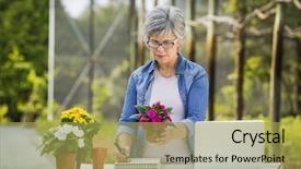  Presentation with forget me nots flowers - Presentation theme enhanced with stocktaking - beautiful mature woman working background and a yellow colored foreground