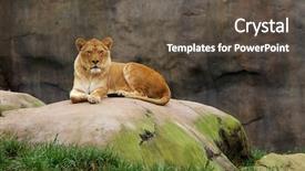  Presentation with boulder - Presentation theme enhanced with stone background and leading edge background and a  colored foreground