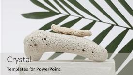  Presentation with coral - Presentation theme with stone-coral-platform-podium background and a light gray colored foreground