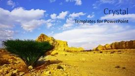  Presentation with desert - Slide deck having stone-desert-and-the-tree background and a light blue colored foreground