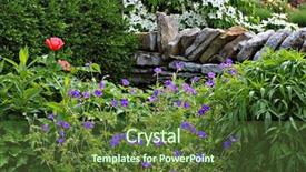  Presentation with dogwood - Presentation design having stone fence blooming dogwood background and a  colored foreground