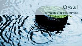  Presentation with water leaf - Theme consisting of stone on leaf in water background and a sky blue colored foreground
