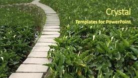  Presentation with throw stone ripple effect - Slide set having pile of business documents meeting tomorrow background and a tawny brown colored foreground