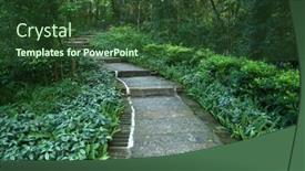  Presentation with tranquil - Slide set enhanced with stone-pavement-winding-its-way background and a tawny brown colored foreground