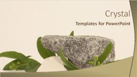  Presentation with minimal - PPT theme enhanced with stone-platform-podium-with-leaf background and a cream colored foreground