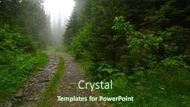  Presentation with forest road - Theme enhanced with stone-road-in-a-coniferous background and a tawny brown colored foreground