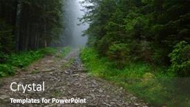  Presentation with forest road - Amazing slides having stone-road-in-a-coniferous backdrop and a dark gray colored foreground