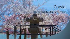  Presentation with japanese cherry blossom - Presentation theme consisting of the cherry blossom festival background and a ocean colored foreground
