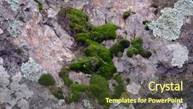  Presentation with moss - Audience pleasing slides consisting of stone the southern bug river backdrop and a tawny brown colored foreground