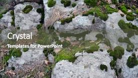  Presentation with lichen mosses moss - Theme featuring stone the southern bug river background and a tawny brown colored foreground