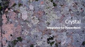  Presentation with moss - Cool new PPT theme with stone the southern bug river backdrop and a gray colored foreground