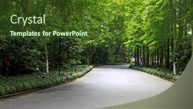  Presentation with tranquil - Theme consisting of stone walkway winding its way through a tranquil garden background and a tawny brown colored foreground