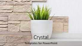  Presentation with white green - Audience pleasing PPT layouts consisting of stone wall and green plant backdrop and a light gray colored foreground