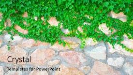  Presentation with green industries plant - Presentation theme featuring stone wall and green plants background and a lemonade colored foreground