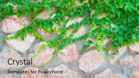 Presentation with green industries plant - Beautiful PPT theme featuring stone wall and green plants backdrop and a soft green colored foreground