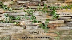  Presentation with moss - Presentation theme with stone-wall-with-green-moss background and a coral colored foreground