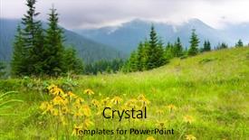  Presentation with mountains - Colorful slides enhanced with stone wood - beautiful mountains landscape in carpathian backdrop and a gold colored foreground