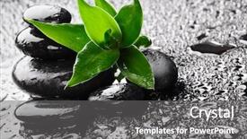  Presentation with water bamboo - Beautiful slides featuring stones and bamboo in water backdrop and a gray colored foreground
