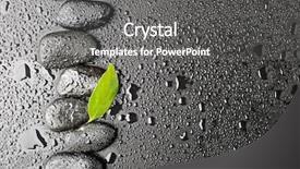  Presentation with water bamboo - Presentation theme featuring stones and bamboo in water background and a dark gray colored foreground