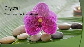  Presentation with candle - PPT theme featuring stones candle on wet banana background and a  colored foreground