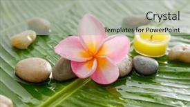  Presentation with candle - PPT theme consisting of stones candle on wet banana background and a light gray colored foreground