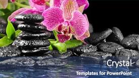  Presentation with orchid - Cool new slides with stones in the water backdrop and a ocean colored foreground