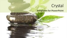  Presentation with stones - PPT layouts consisting of stones in water with leaves background and a blonde colored foreground