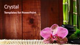  Presentation with zen stone - Colorful PPT layouts enhanced with stones on the old wood backdrop and a wine colored foreground