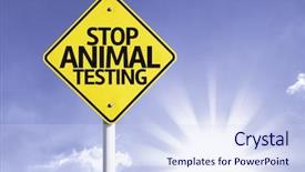  Presentation with animal rights - Audience pleasing presentation design consisting of stop animal testing road sign backdrop and a sky blue colored foreground