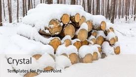  Presentation with pine forest - Slides having store of pine wooden logs under snow in forest background and a soft green colored foreground
