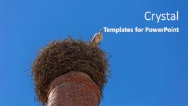  Presentation with algarve - PPT theme consisting of stork-in-a-large-nest background and a teal colored foreground