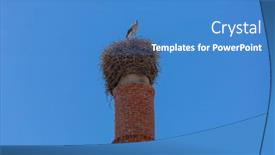  Presentation with algarve - Presentation enhanced with stork-in-a-large-nest background and a teal colored foreground