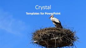  Presentation with poland - Slide set having stork-in-the-nest-against background and a  colored foreground