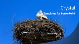  Presentation with poland - PPT layouts enhanced with stork-in-the-nest-against background and a  colored foreground