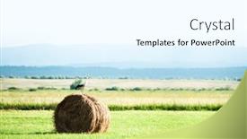  Presentation with animal nature - Audience pleasing PPT layouts consisting of stork-on-dry-hay-bale backdrop and a white colored foreground