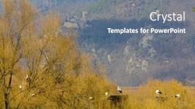  Presentation with breeding - Theme enhanced with storks breeding centre de reintroduction des cigognes hunawihr alsace france background and a gray colored foreground