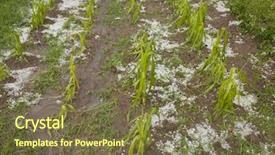  Presentation with weather storm - Theme enhanced with storm - summer weather storm disaster background and a tawny brown colored foreground