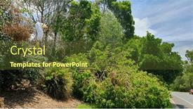  Presentation with storm - Presentation theme enhanced with storm-damaged-residential-areas and a tawny brown colored foreground