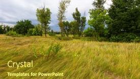 Presentation with storm - Slide deck featuring storm-over-spring-grass-meadow background and a tawny brown colored foreground