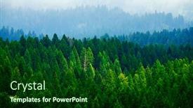  Presentation with pine trees - PPT theme consisting of stormy-forest-in-mountains-pine background and a forest green colored foreground