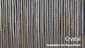  Presentation with bamboo - Amazing slides having straight lines square - bamboo background filtered image processed backdrop and a  colored foreground