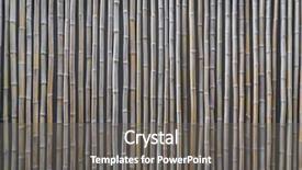  Presentation with computer vision and image processing - Amazing slides having straight lines square - bamboo background filtered image processed backdrop and a gray colored foreground