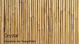  Presentation with bamboo - Audience pleasing presentation design consisting of straight lines square - bamboo fence background backdrop and a gold colored foreground