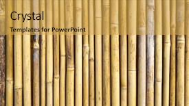  Presentation with bamboo - Cool new slide set with straight lines square - bamboo fence background backdrop and a yellow colored foreground