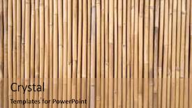  Presentation with bamboo - Presentation theme with straight lines square - bamboo fence background background and a  colored foreground