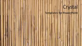  Presentation with textured natural bamboo fence - PPT theme consisting of straight lines square - bamboo fence background background and a coral colored foreground